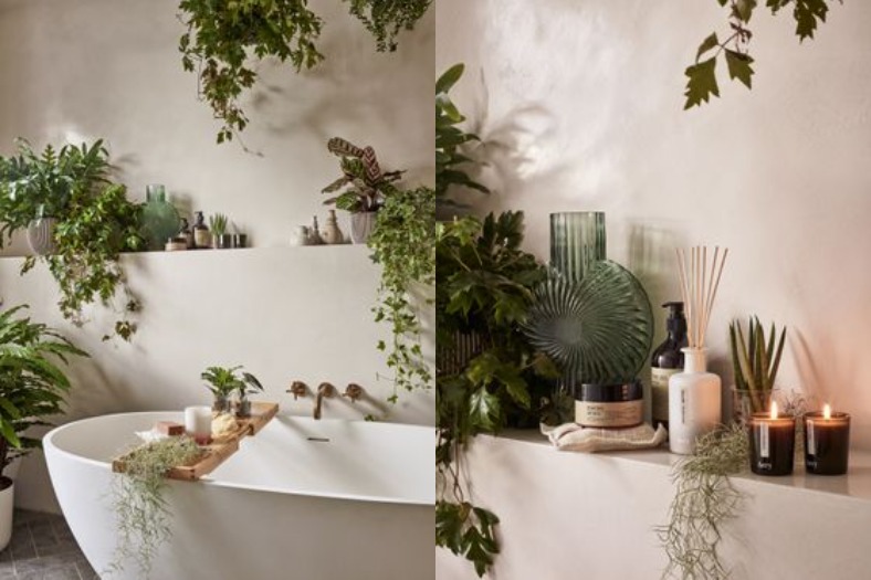 Infusing your interiors with with greenery