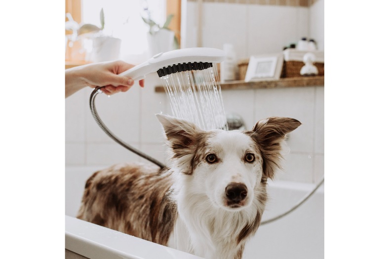 A relaxing shower tailormade for your four-legged friend: Hansgrohe launches new DogShower to give your pet a comfortable grooming experience