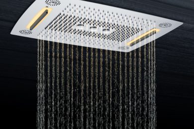 Wisdom Smart Shower